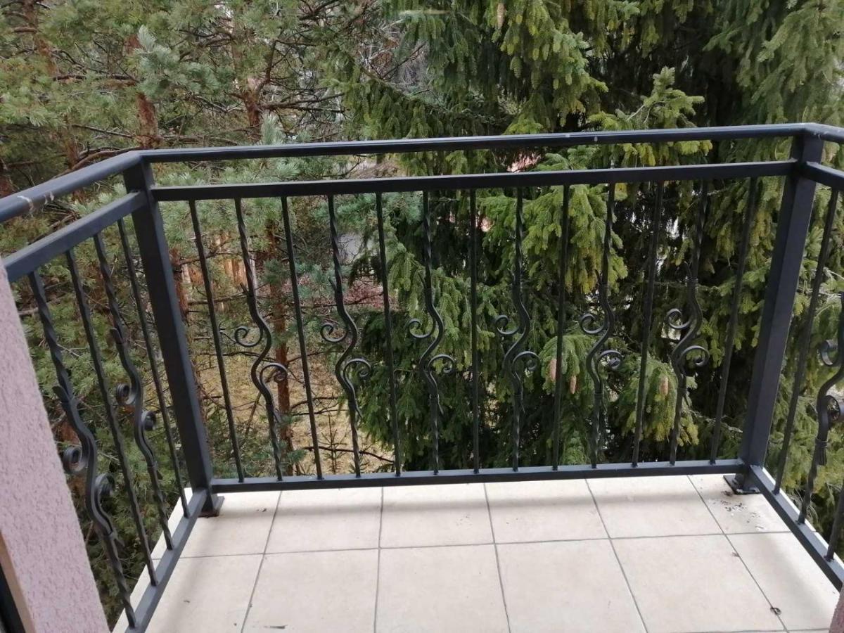 Vila Meridijan Zlatibor Luaran gambar